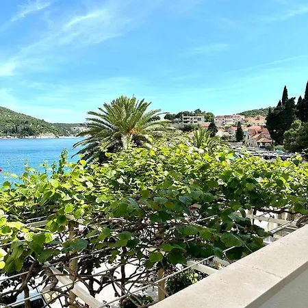 Πανσιόν Mare & Filip 2